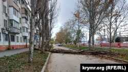 Последствия шторма в Керчи, 27 ноября 2023 года