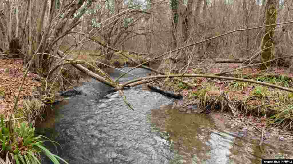 Река Черная на выходе из Чернореченского водохранилища